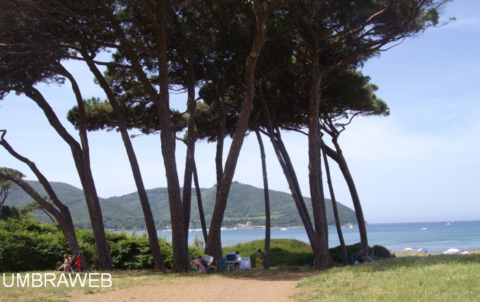 Spiagge in Toscana Populonia golfo di Baratti