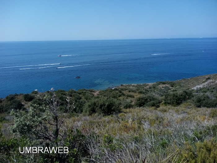 strada Isola d'Elba  vista panoramica 