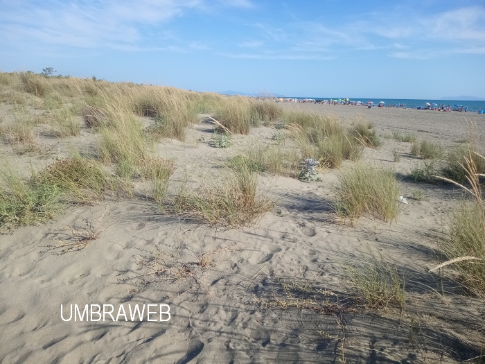 spiaggia Marina di Grosseto